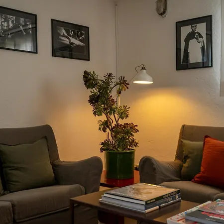 Il Fossetto, In Mezzo A Cavalli E Ulivi Secolari. Holiday home *