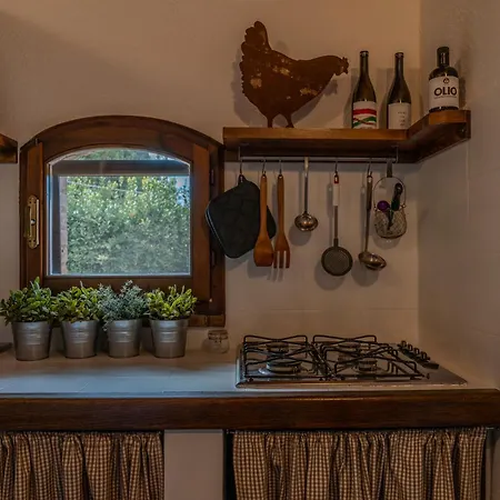 Il Fossetto, In Mezzo A Cavalli E Ulivi Secolari. Holiday home Casale Marittimo